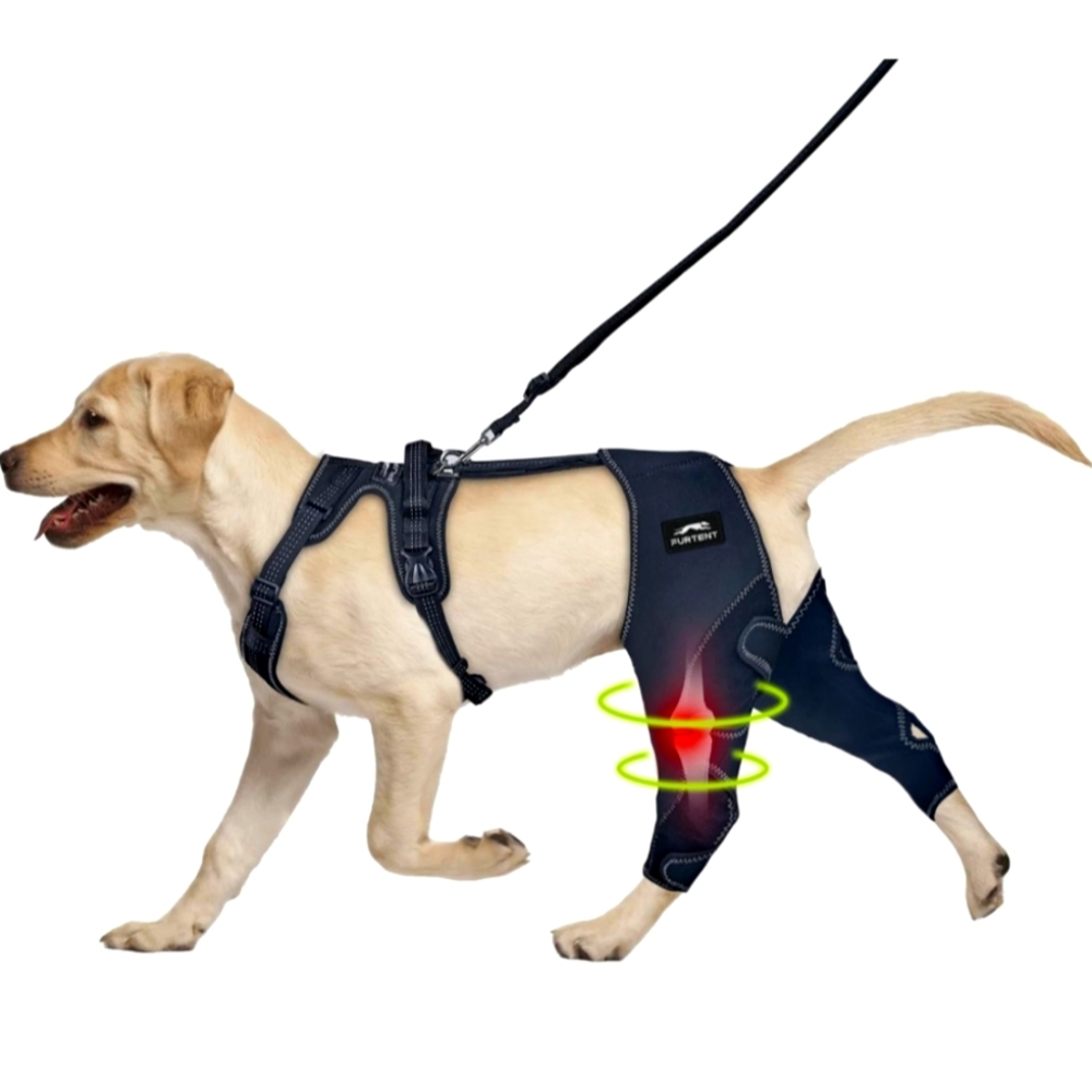 NEW Furtent Dog Knee Brace for Torn ACL Hind Legs XL